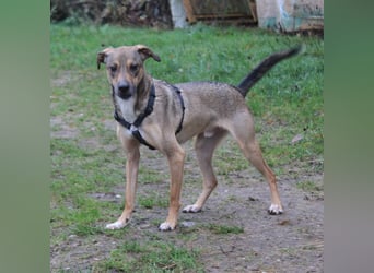 Nero - Glück und Liebe im zweiten Anlauf?