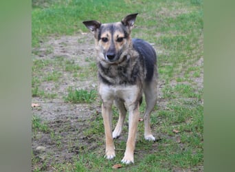 Maja - wo darf ich Zuhause sein?