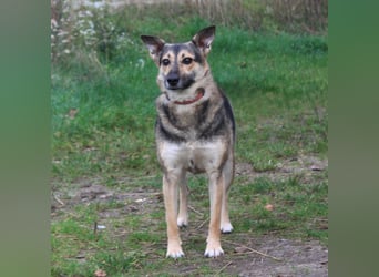 Maja - wo darf ich Zuhause sein?