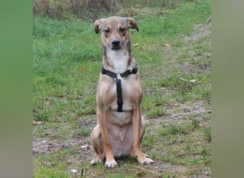 Nero - Glück und Liebe im zweiten Anlauf?