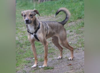 Nero - Glück und Liebe im zweiten Anlauf?