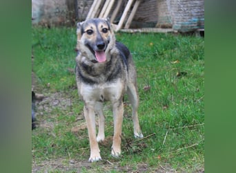 Maja - wo darf ich Zuhause sein?