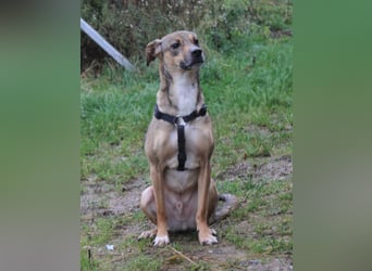 Nero - Glück und Liebe im zweiten Anlauf?