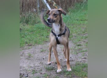 Nero - Glück und Liebe im zweiten Anlauf?