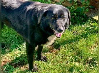 Evander ( * 01.2021 ) sucht seine Familie