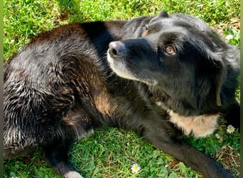 Evander ( * 01.2021 ) sucht seine Familie