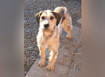 Aisa ( * 07.2022 ) sucht ihre Menschen