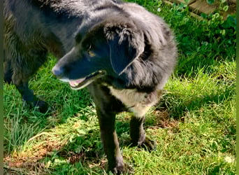 Evander ( * 01.2021 ) sucht seine Familie