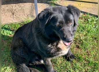 Evander ( * 01.2021 ) sucht seine Familie