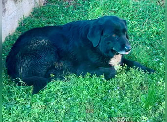 Evander ( * 01.2021 ) sucht seine Familie