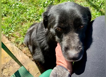 Evander ( * 01.2021 ) sucht seine Familie