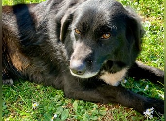 Evander ( * 01.2021 ) sucht seine Familie