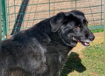 Evander ( * 01.2021 ) sucht seine Familie