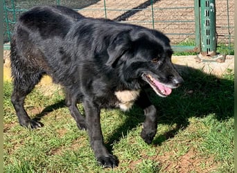 Evander ( * 01.2021 ) sucht seine Familie