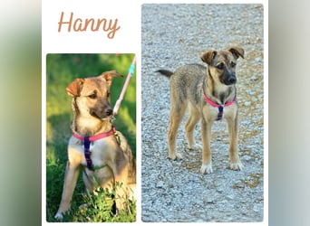 Hanny