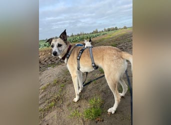 PALOMA wartet in 41379 Brüggen PALOMA wartet in 41379 Brüggen