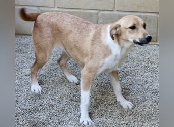 Nuria, zurückhaltend, freundlich und gut verträglich