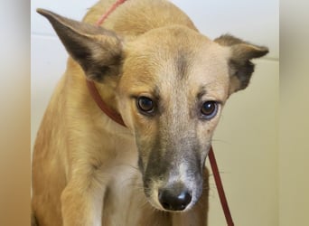 Pichichus, jung,lernwillig und aufgeschlossen