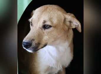 Nuria, zurückhaltend, freundlich und gut verträglich