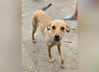 Suki - offen und lernwillig