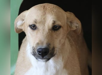 Nuria, zurückhaltend, freundlich und gut verträglich