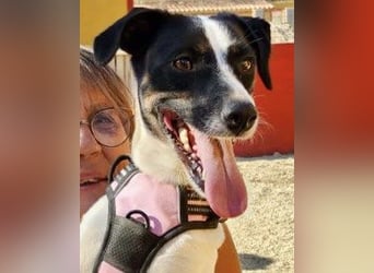 Kathi, zutraulich, verschmust und freundlich