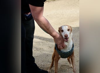 Jota - lässt sich gerne anfassen, freundlich und zutraulich