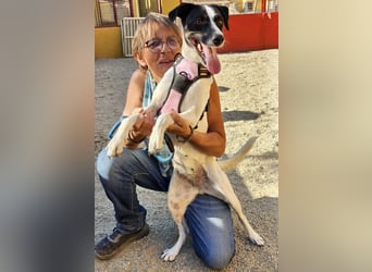 Kathi, zutraulich, verschmust und freundlich