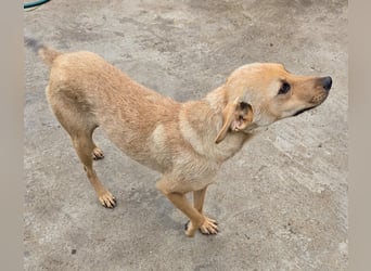 Suki - offen und lernwillig