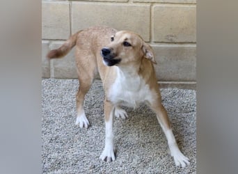 Nuria, zurückhaltend, freundlich und gut verträglich