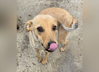 Suki - offen und lernwillig