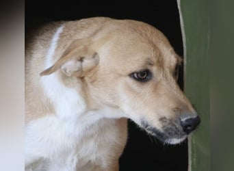 Nuria, zurückhaltend, freundlich und gut verträglich