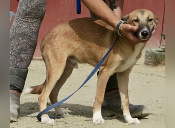 Pichichus, jung,lernwillig und aufgeschlossen