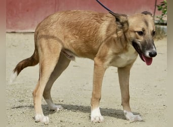 Pichichus, jung,lernwillig und aufgeschlossen