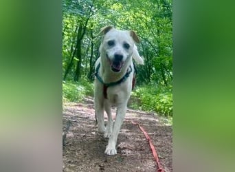 Coco, menschenbezogen, freundlich, offen  - bereits in Deutschland