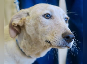 Jacinto - verspielt, freundlich und lernwillig