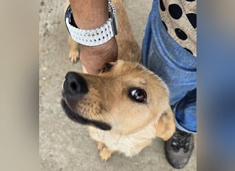 Suki - offen und lernwillig