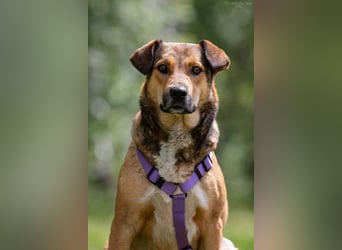 Soziale Rita sucht liebevolles Zuhause