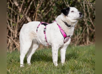 freundliche, liebe Seniorin CARLA