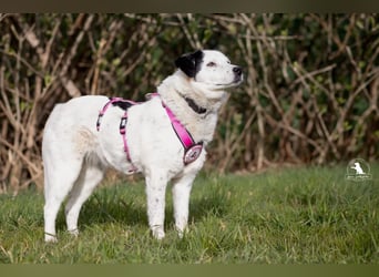 wundervolle Seniorin Carla