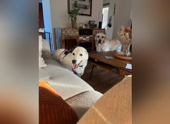 freundliche, liebe Seniorin CARLA