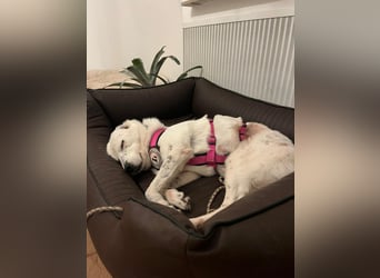 freundliche, liebe Seniorin CARLA