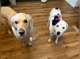 freundliche, liebe Seniorin CARLA