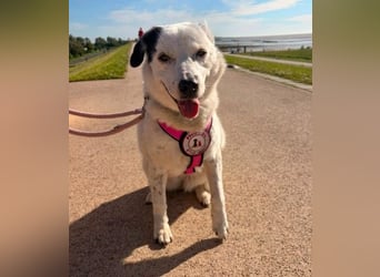 freundliche, liebe Seniorin CARLA