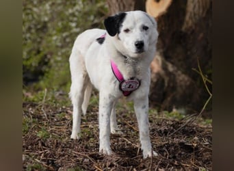 freundliche, liebe Seniorin CARLA