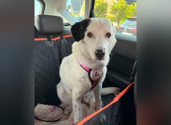 freundliche, liebe Seniorin CARLA