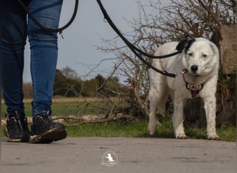 freundliche, liebe Seniorin CARLA