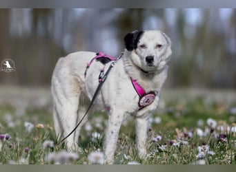 wundervolle Seniorin Carla
