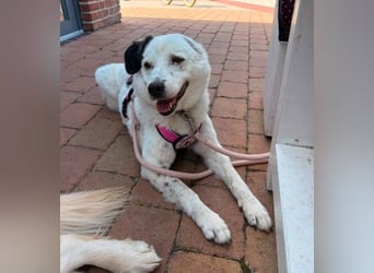 freundliche, liebe Seniorin CARLA