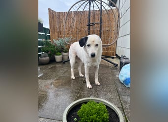 freundliche, liebe Seniorin CARLA
